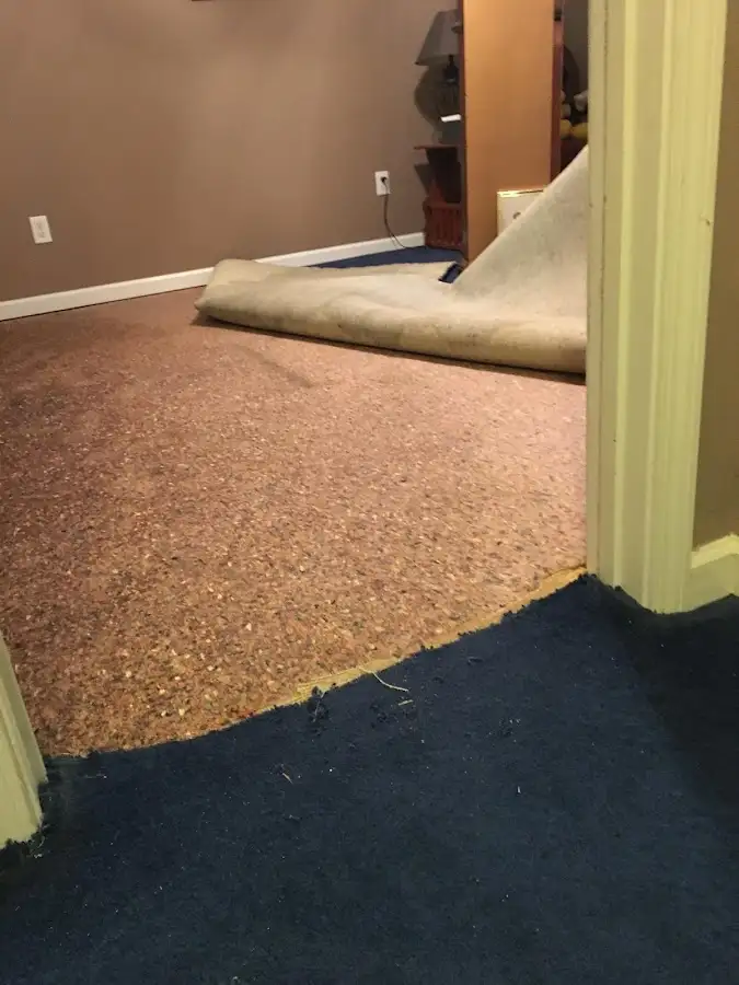 Carpet pad removal revealing water damage during Water Mitigation Services in Bellwood