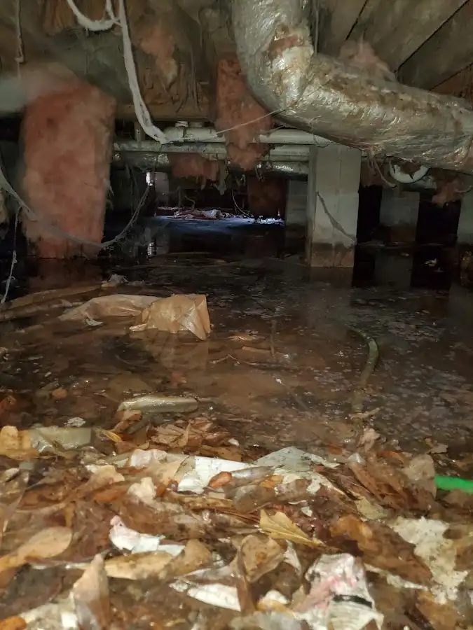 Crawl space flood assessment for Commercial Water Damage Restoration in Bellwood